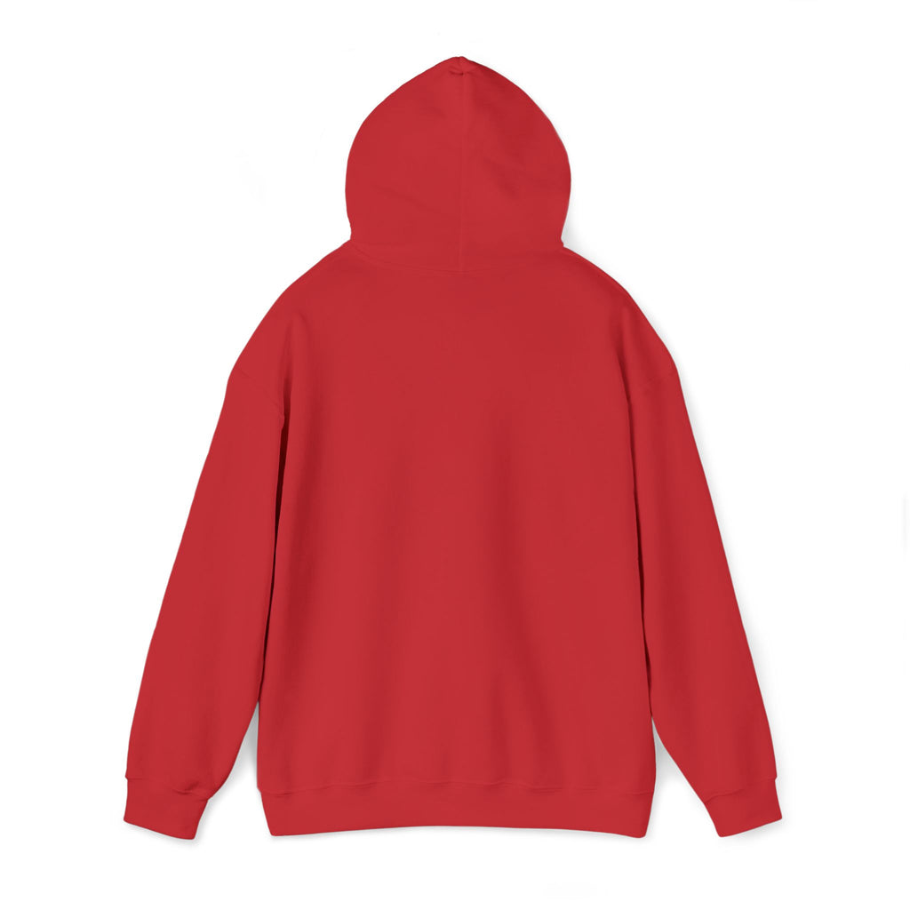 re:RETRO Embroidered Hoodie